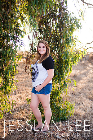 savanna_114