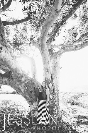 savanna_025