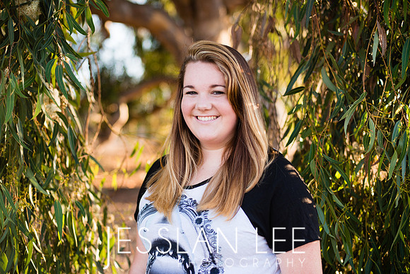 savanna_111