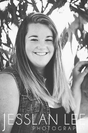 savanna_031