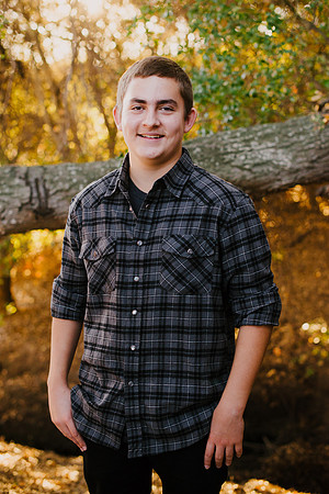 johnson_53