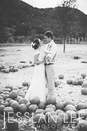 koutsky_242bw