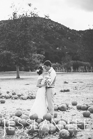 koutsky_244bw