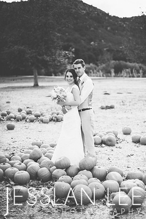 koutsky_231bw