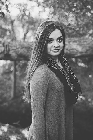 johnson_48bw