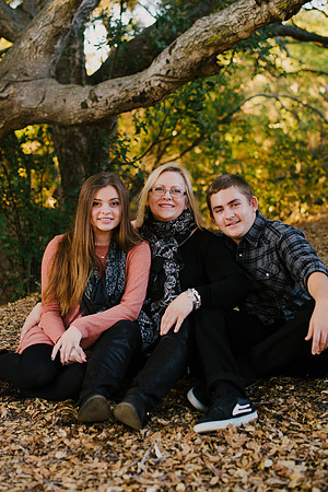 johnson_41